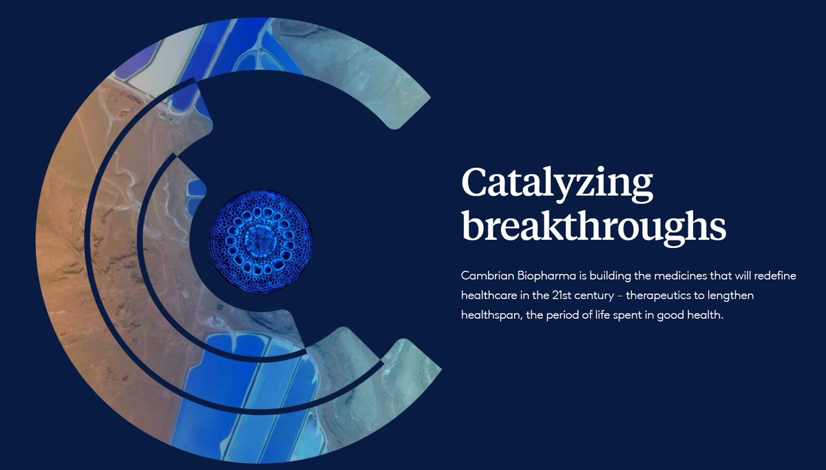 JamesPeyer's tweet photo. We raised another $100M to create new medicines targeting the causes of aging!

Our secret plan to use existing regulatory pathways and the incredible biology of #longevity to build drugs that extend #healthspan is kicking into high gear

https://t.co/bGyIkoLSJW https://t.co/LfWJJWyPgw