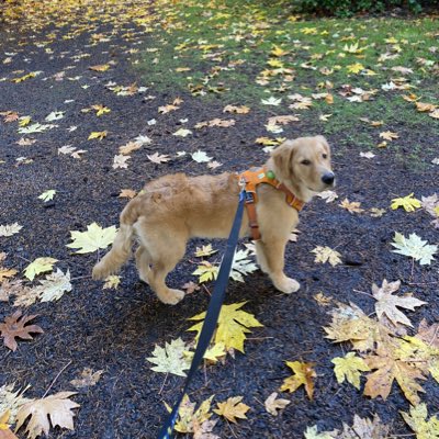 j80lemay's tweet photo. #NewProfilePic https://t.co/tHydw4O9mP