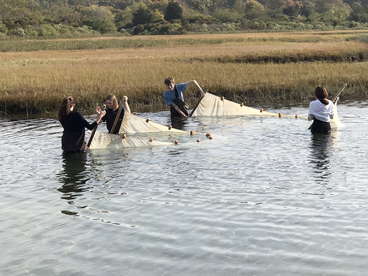 Berlin_Batman's tweet photo. Zoology, AP/ECE bio and AP/ECE chem are now well acquainted with numerous sp. found in the salt marsh at Bluff Point State Park! Many thanks to Project Oceanology and BHS science legend, Mr. McNulty, for showing us a great time! @rufusXI @BHS_Berlin_CT #SeineNet #FieldWork https://t.co/hTXwYEsuhN