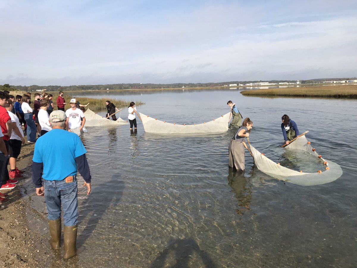 Berlin_Batman's tweet photo. Zoology, AP/ECE bio and AP/ECE chem are now well acquainted with numerous sp. found in the salt marsh at Bluff Point State Park! Many thanks to Project Oceanology and BHS science legend, Mr. McNulty, for showing us a great time! @rufusXI @BHS_Berlin_CT #SeineNet #FieldWork https://t.co/hTXwYEsuhN