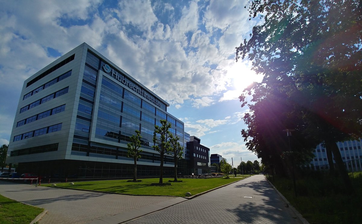 The Hubrecht Institute is looking for Senior or Junior PI’s! Have you run your own lab for some years and are you looking for a change? Or are you a postdoc, ready to start your own lab? Read more about the vacancy here: hubrecht.eu/job/pi-positio…