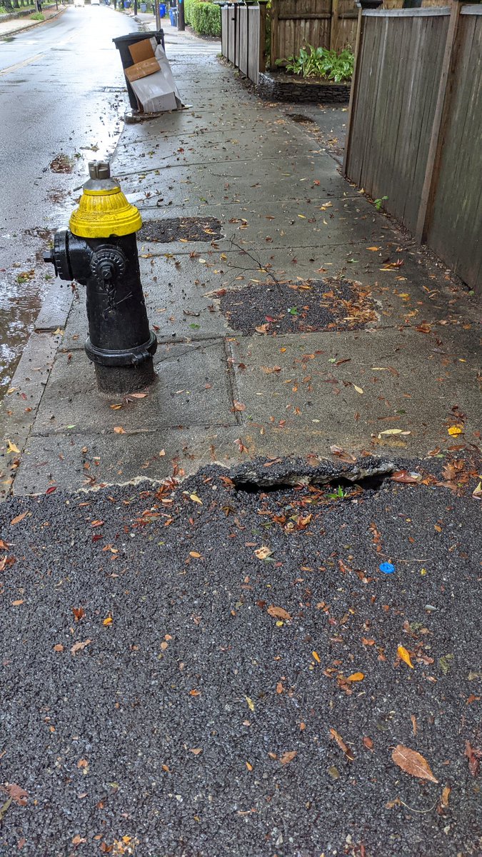 AlexaPerplexa's tweet photo. @CityOfBoston sink hole in sidewalk at 203 Lamartine St in JP https://t.co/PhKkInFfrU
