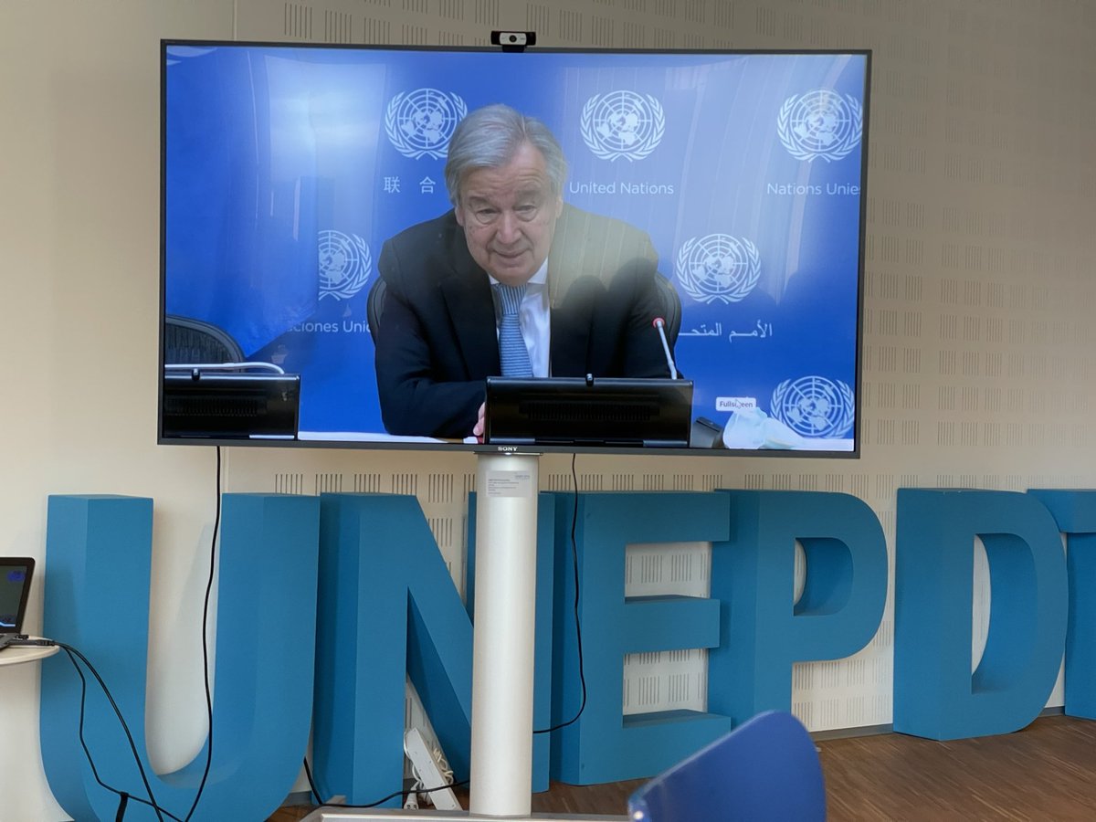 Susanne Pedersen tweet media