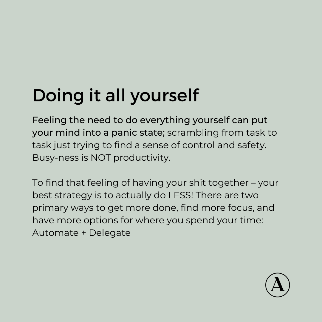 The ACE Collective tweet media