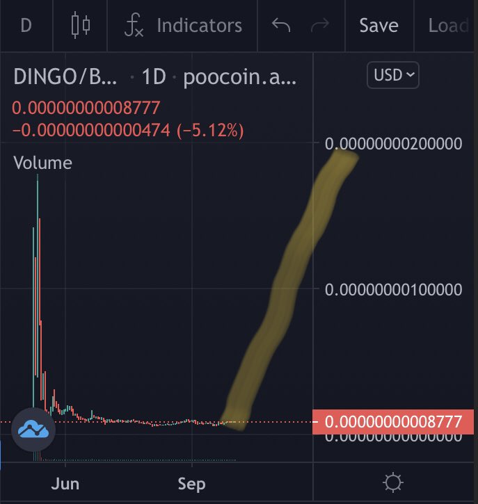 Dingo tweet media