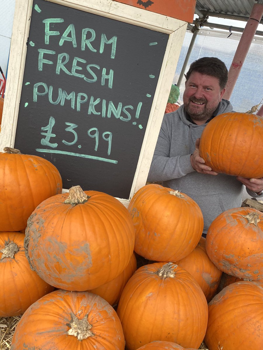 Pumpkins galore #freshfromthefarm