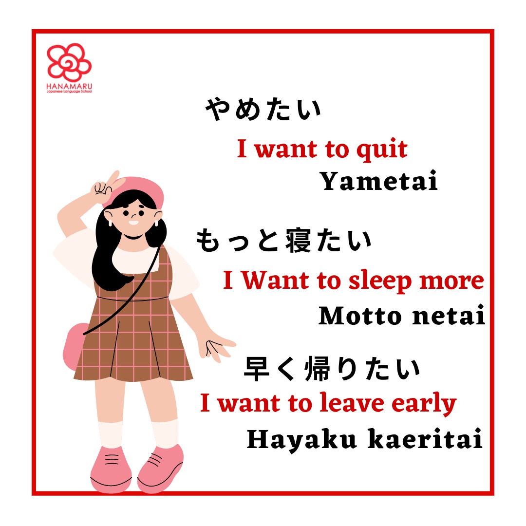 hanamaru_india's tweet photo. Start your japanese language course with Hanamaru in India !!
It's so hot!!
#languageschool #japanesenoodle #signlanguage #india_everyday #course #language #indianblog #indiablogger 
#hanamaruinindia #hanmaruinlucknow #bangalorediaries #simplydiwali 
#MATIC https://t.co/Dl1tvuxOk8