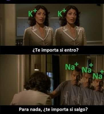 chistesbiologia's tweet image. 