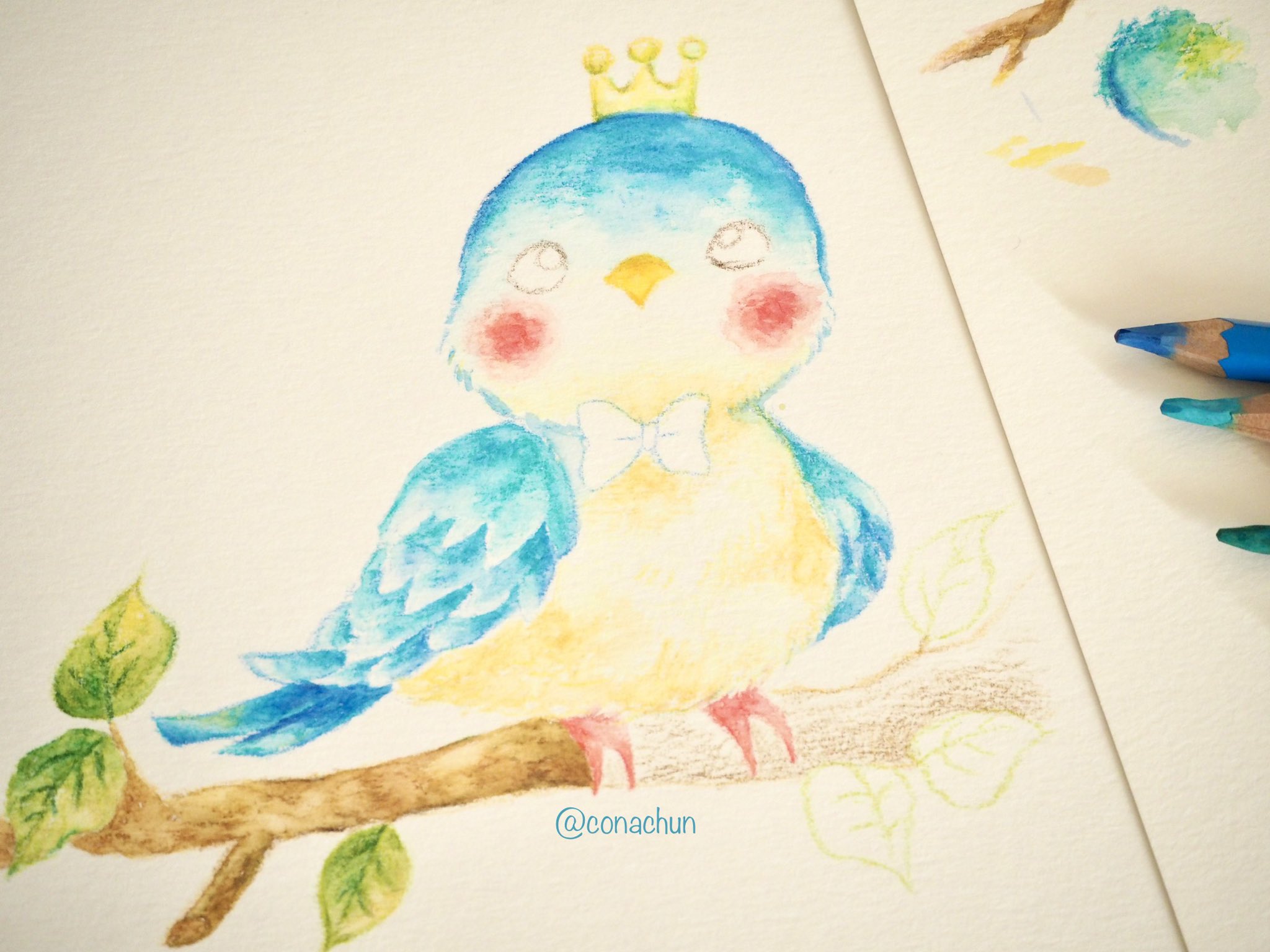 Uzivatel こなちゅん Na Twitteru 幸福の青いちゅん 8 ファーバーカステルの青色 とても美しいですね 写真だと分かりにくいけど 本当に綺麗 イラスト Illustration 動物 鳥イラスト 水彩色鉛筆 アナログイラスト イラスト好きな人と繋がりたい