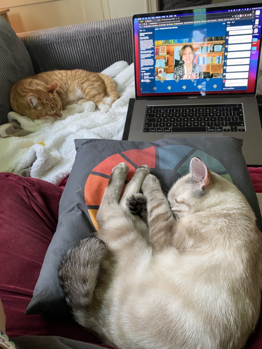 I have some resting CEOs right here. #LitmusLive2021 <a href="/annhandley/">Ann Handley</a>