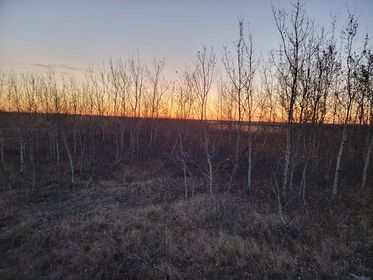 LdSH(RC) Regtl Society tweet media