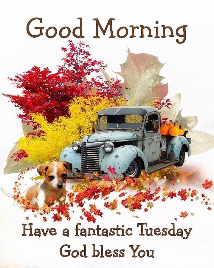 deborah_saffer's tweet photo. Good morning All. Really think I’m starting to stabilize. Still on #bedrest I Hope Everyone has a Truly Blessed Day And Much Unconditional Love Always 🧡 #TuesdayFeeling #sickbutblessed #selfcare #BeKind https://t.co/igf9bWX3qR
