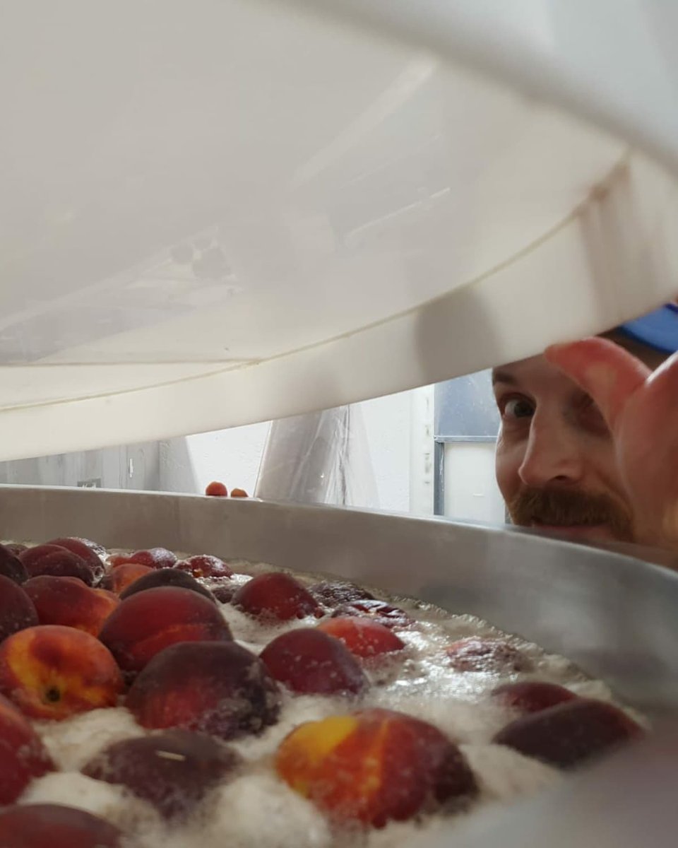 Cyclic Beer Farm tweet media