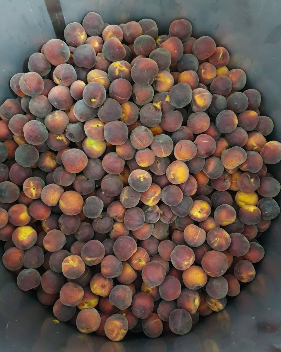 Cyclic Beer Farm tweet media