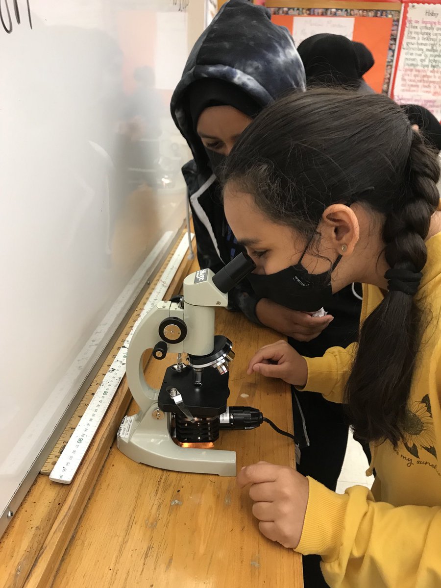 Tecumseh_sr's tweet photo. Hands-on Science makes an amazing learning experience. ⁦@tdsb⁩ ⁦@ghumanh2o⁩ https://t.co/HrzZjzuZ4R