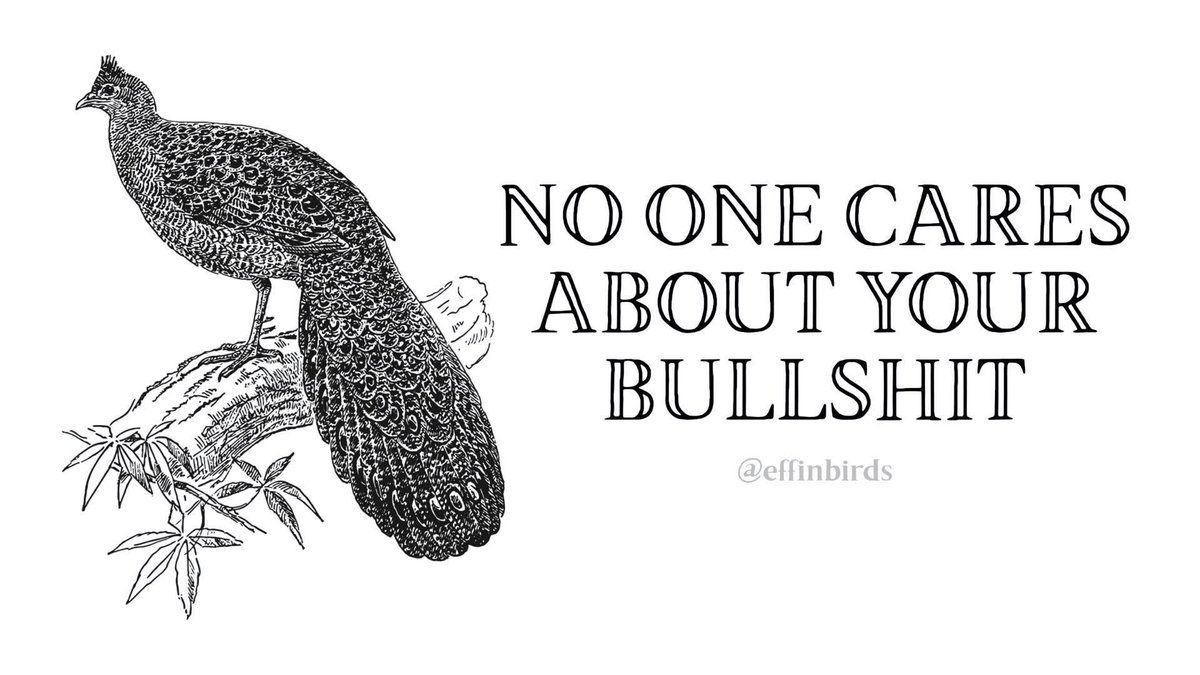 EffinSupport's tweet photo. Imagine thinking that picking a fight with me at 9:30 am on a Tuesday when I am sleep deprived is a good idea. Rule #1 of Effin Birds customer service: I will never fight you. That tends to make the whiners of this world even more angry. Help me, help you, sir. https://t.co/MPr7LBXgol