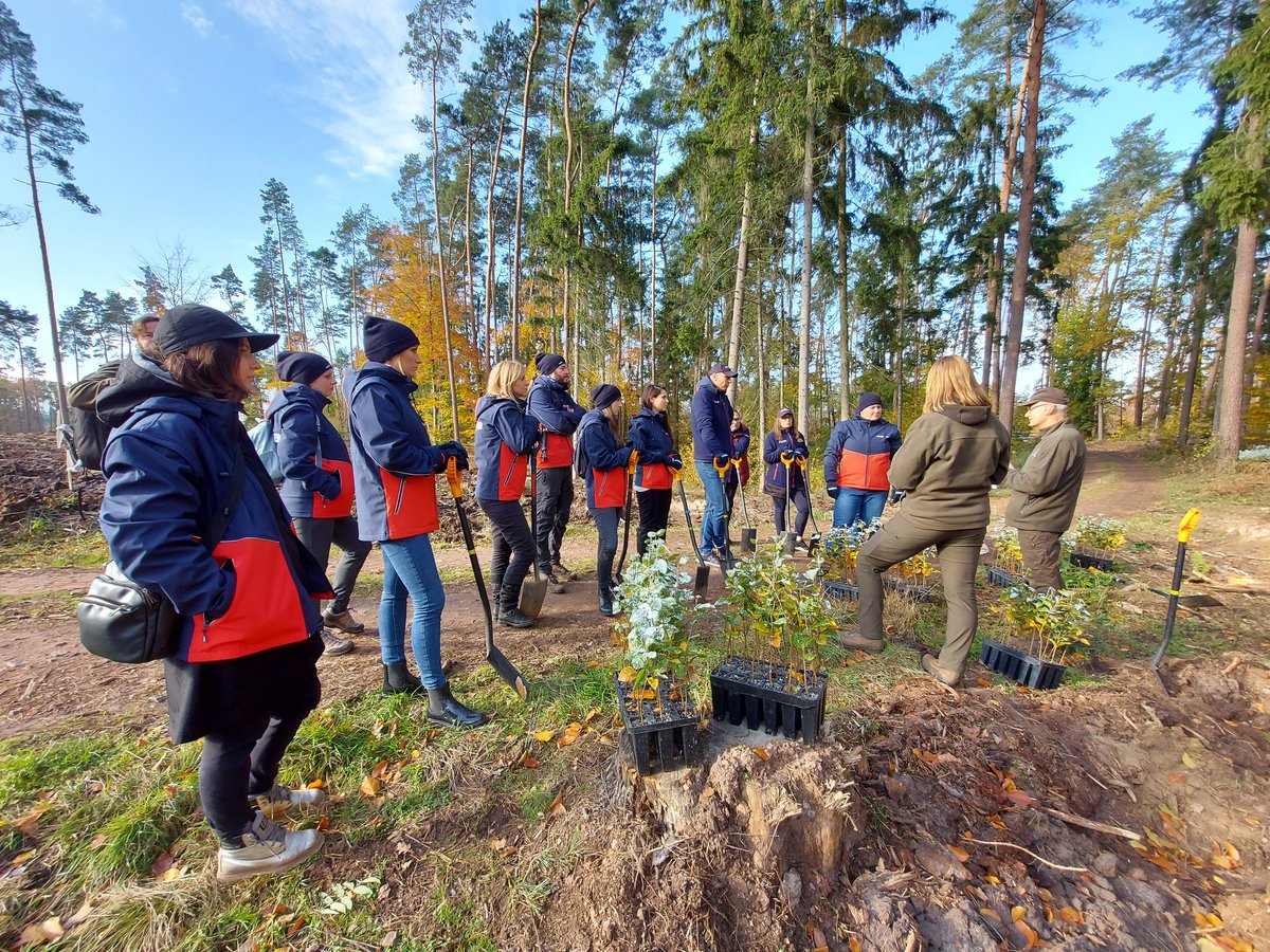 Anwim1's tweet photo. Dzisiaj wolontariusze z naszej firmy sadzili lasy - na terenach Borów Tucholskich, dzięki zaangażowaniu Anwim S.A., udało się odrestaurować 3ha terenów zdewastowanych przez wichury, które przeszły nad Polską w 2017 r. https://t.co/resOaVFiQn