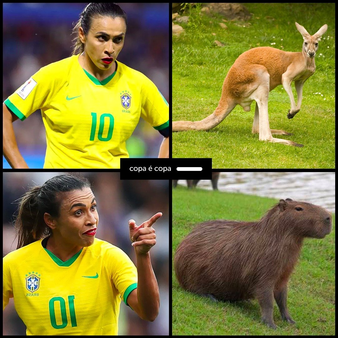 copaecopa's tweet photo. A capivara é melhor que o canguru 🎵🇧🇷 https://t.co/YXAlbUUD8U