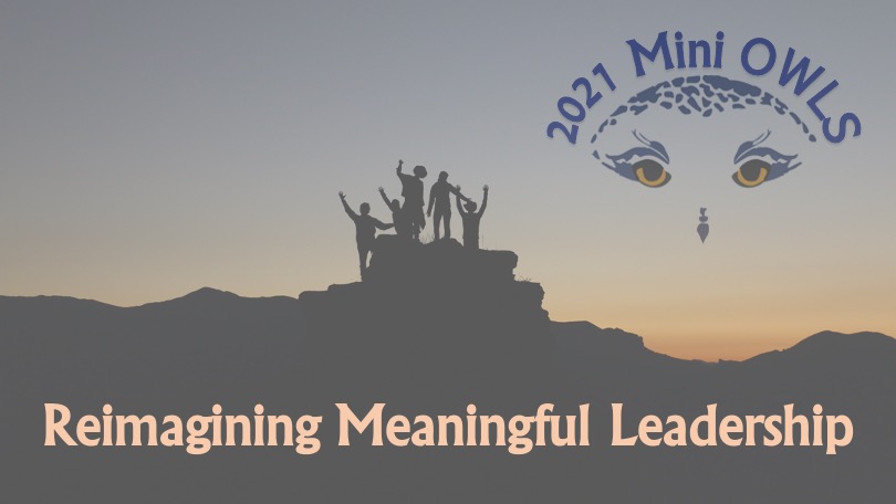 *Attention NAVY Active Duty officers! The Navy still has sponsored seats available for the upcoming Mini-OWLS Three final session on Nov 9th! Go to ow.ly/kkcH50GthfL
and use the following codes when signing up:

Navy: OWLSNAVYNOV2021