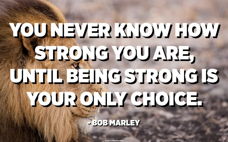 Zoe Zamir (@zoezamir) on Twitter photo 