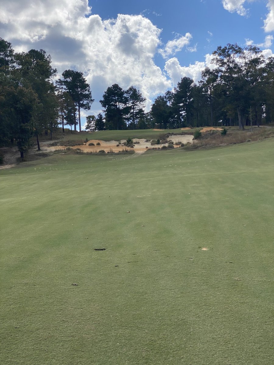 bob_ranum's tweet photo. Great day at Dormie in Pinehurst absolutely a gem with awesome bent grass greens thanks so much ⁦@TSwansiger⁩ for taking care of us can't wait to go back https://t.co/QHqogOwkUr