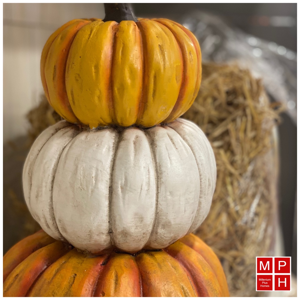 MilleniumPlus's tweet photo. I never met a pumpkin I didn’t like…..
#mphomes #yyc #mphomesliving #calgary #pumpkinday #pumpkins #pumpkinseason #fallcolors #canada #pumpkinart #yycinncercitybuilders #yycinfluencer #autumn #autumnvibes #pumpkins🎃 #🎃 #fallporchdecor #fallstyling #spookyseason #pumpkindecor https://t.co/JdqN7a0PHV