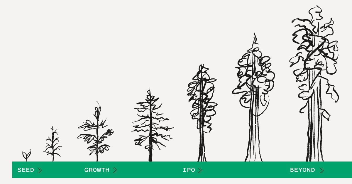 sequoia's tweet image. Patience is a virtue. We believe it’s also smart business. 
 
The traditional 10-year VC fund cycle no longer makes sense for today’s world, or tomorrow’s founders.
 
Introducing The Sequoia Fund.
seq.vc/sequoia_fund

(1/2)