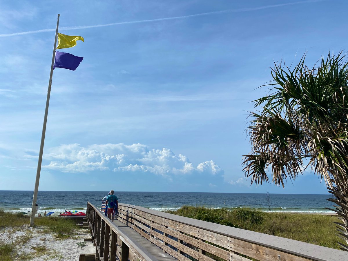swfdinfo's tweet photo. #RedTide and jellyfish still having their way with South Walton beaches.

We’re flying Yellow and Purple flags for Tuesday, October 26th. Beach patrons should expect to feel allergy-like symptoms as a result of red tide.

Ask a lifeguard if you have questions! https://t.co/PQ1vVzamCT