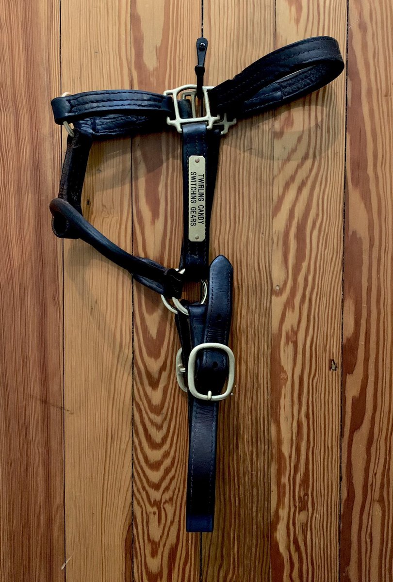 realfanticipate's tweet image. We salute @CalumetFarm trainer Rusty Arnold for his support of @BreedersCup Charities in donating a very special Halter from GEAR JOCKEY! Bid now at fanticipate.com @DelMarRacing @HayleyMAmoss @calgregson @PDJFund @jenine_sahadi #BCTURFSPRINT