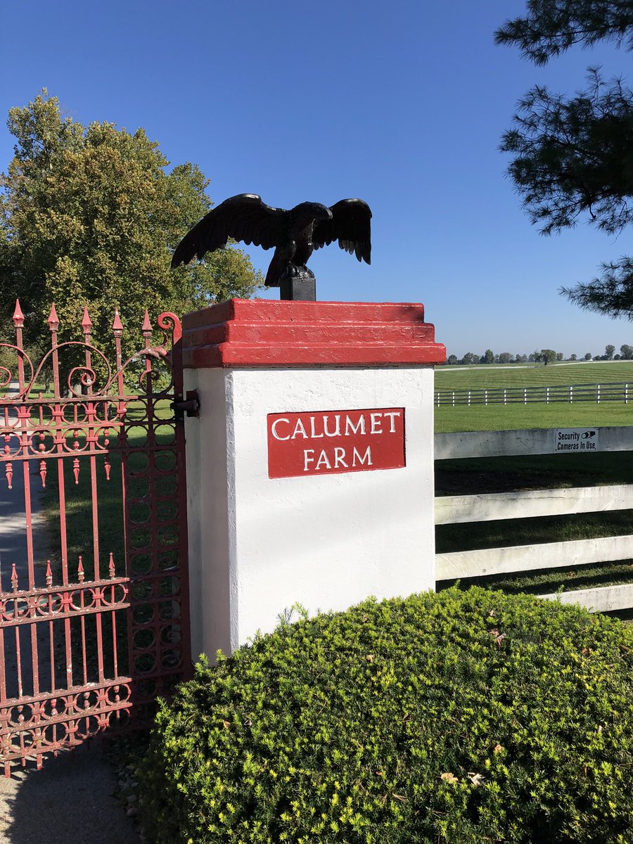 realfanticipate's tweet image. We salute @CalumetFarm trainer Rusty Arnold for his support of @BreedersCup Charities in donating a very special Halter from GEAR JOCKEY! Bid now at fanticipate.com @DelMarRacing @HayleyMAmoss @calgregson @PDJFund @jenine_sahadi #BCTURFSPRINT