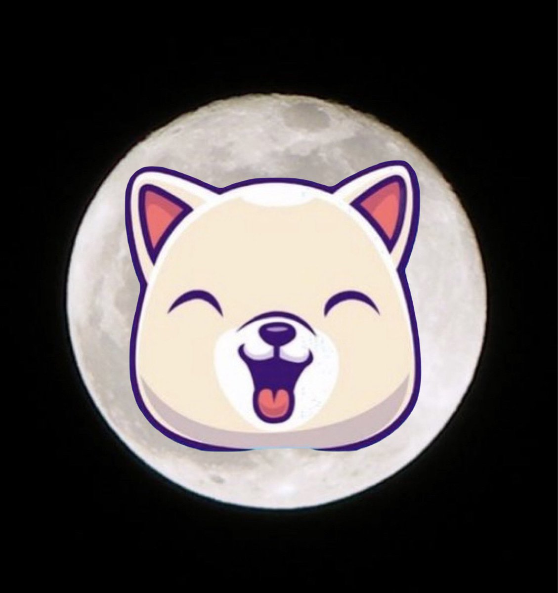 SoCalGAINS's tweet image. Clear view here in California 🔭 🔭 🚀 🌙 @InuKishu @kishuarmyMOD @ArchangelAka @TKISHUARMY @crypt0p1zza @lilkishu