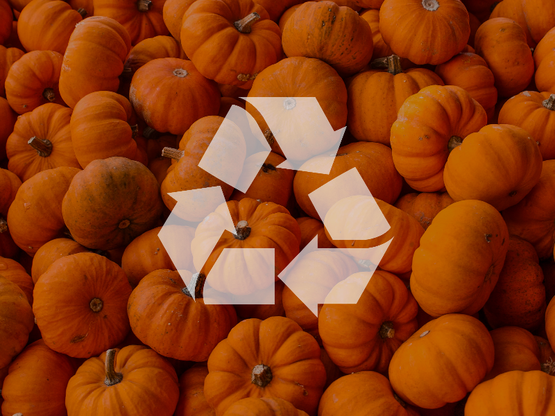 October Tips &amp; Tricks! - mailchi.mp/5749d56d555d/o…