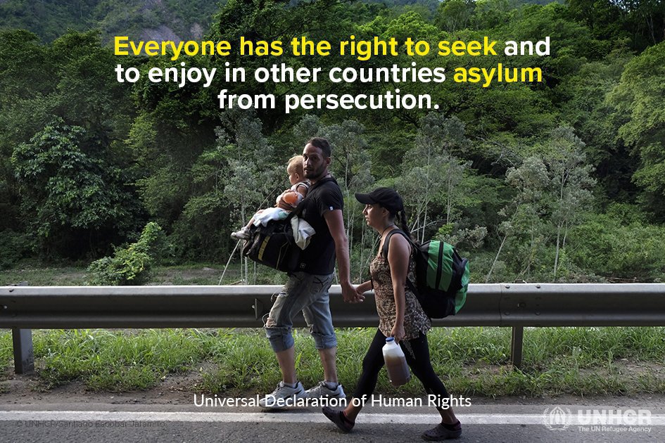 Human rights don’t differ based on whether you seek safety by land, air or sea.

Everyone has the right to seek asylum.

#TogetherWithRefugees #RefugeesWelcome