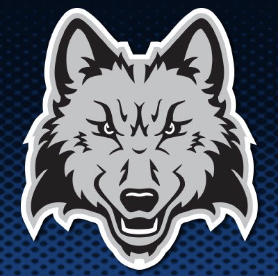 Beyond blessed and excited to continue my academic and athletic career at Madison College! Thank you to my family, friends, teammates, past and current coaches for supporting me through this process. Also, thank you to Coach Davenport for this opportunity! #JucoBandit #wolfpack🐺