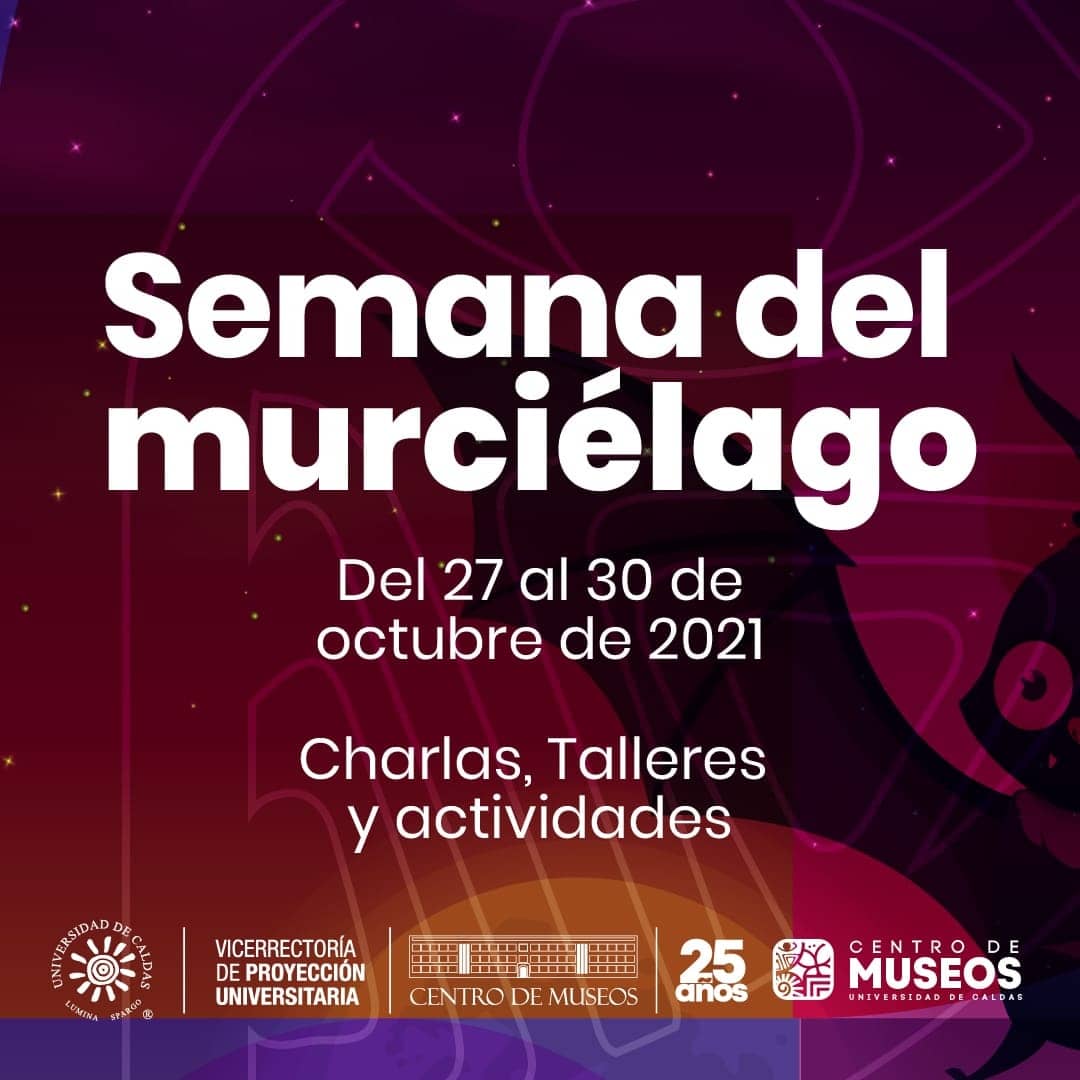 Centro de Museos tweet media