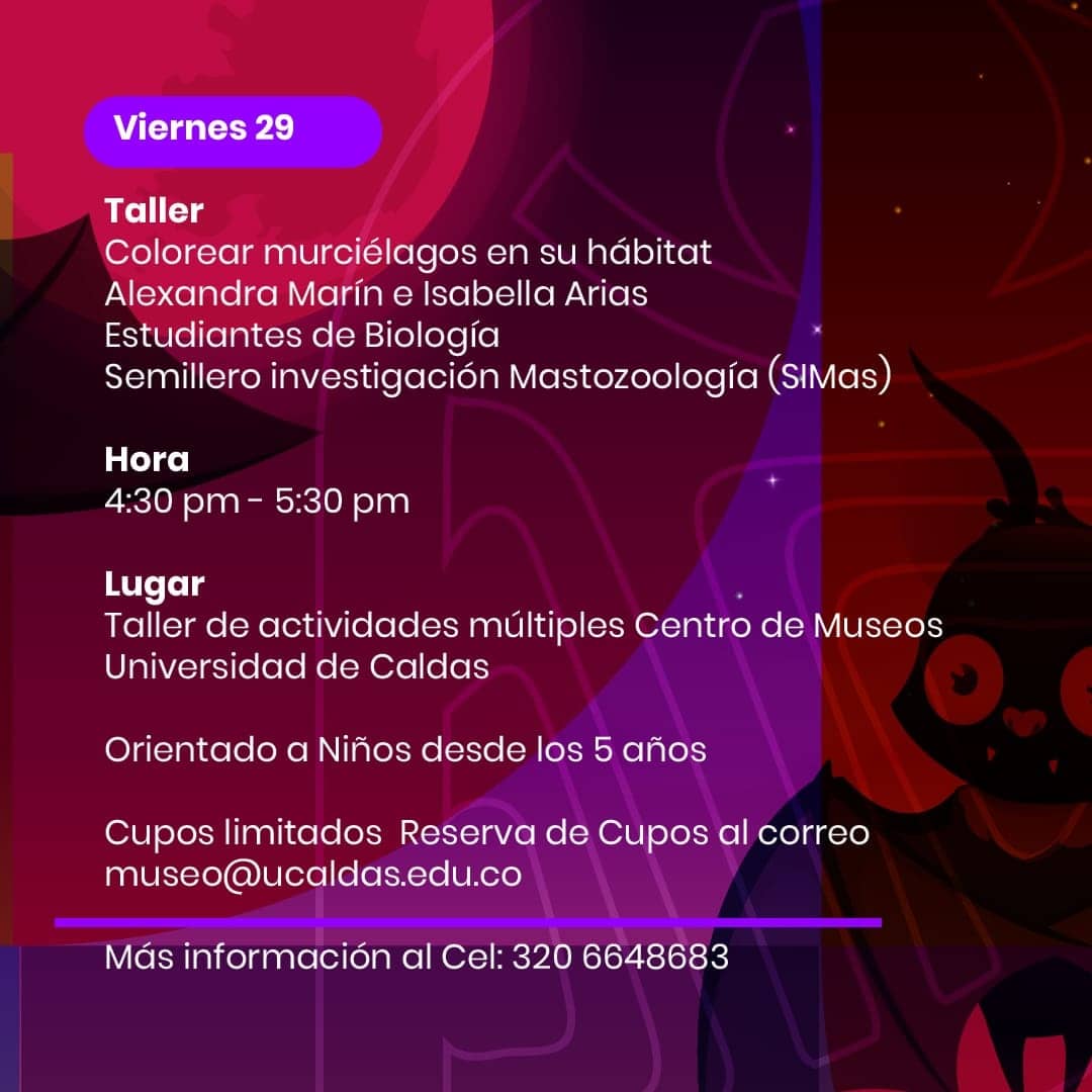 Centro de Museos tweet media