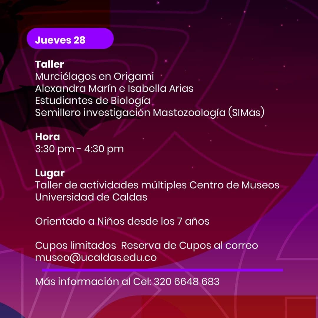 Centro de Museos tweet media