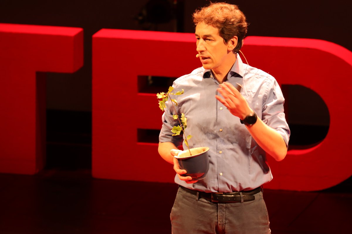 Go ! Hélène Chapelet, maîtresse de cérémonie, vient d'ouvrir la danse des speakers avec <a href="/tillon_laurent/">Tillon Laurent</a> qui nous partage sa passion des arbres. #tedxtours2021