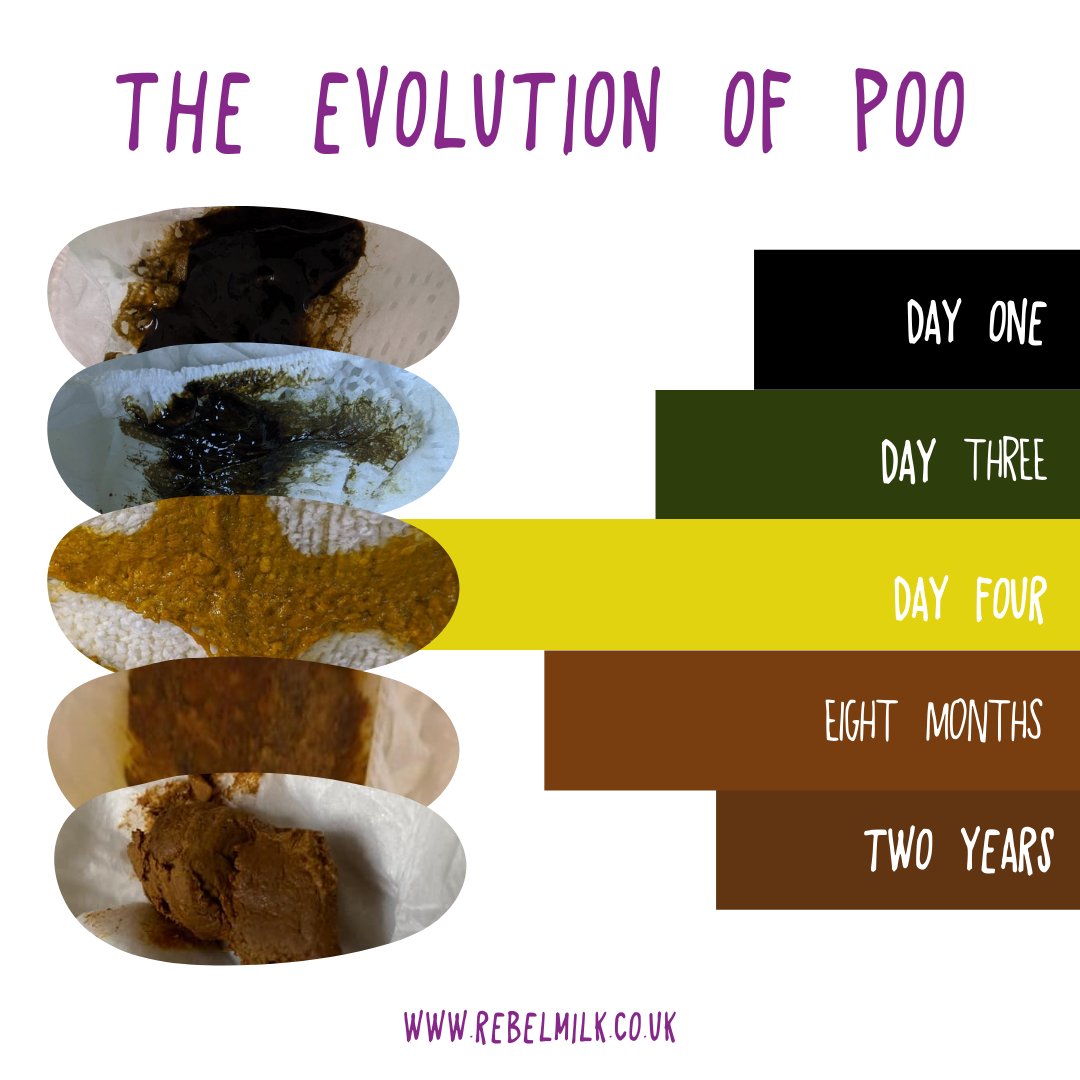 themilkrebel's tweet photo. If you have concerns about your baby's poo then get in touch for a chat.
#poo #babypoo #babypoogallery #pooenthusiast #breastfeeding #infantfeeding #evolutionofpoo #normalpoo #meme #share #support https://t.co/vcn9dAolAm