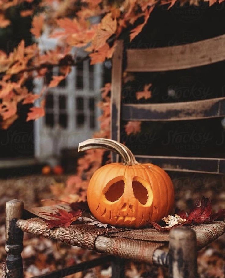 🍁ОСЕННЯЯ ЦЕПОЧКА ТВИТТЕРСКИХ🍁

                🍁с тебя:

🍁читай меня (#взаимно)

🍁делай ретвит

🍁читай ретвитнувших

🍁будь взаимным

🍁береги своё здоровье 

*шутка про 0 рт на удачу* 

#ЦепочкаФолловеров
#ЦепочкаТвиттерских