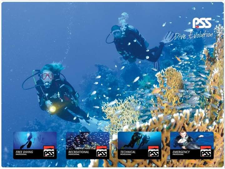Deeper_Diving's tweet photo. Let's join us #PSSpeople #divepss #PSSindonesia https://t.co/aJWL6wUb5E