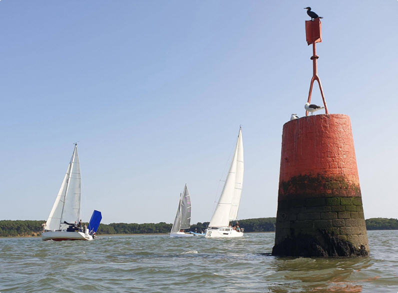 Morbihan Challenge tweet media