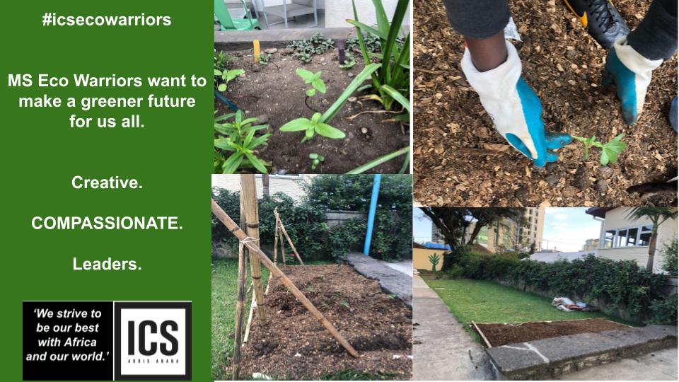 Kim Stuart tweet media