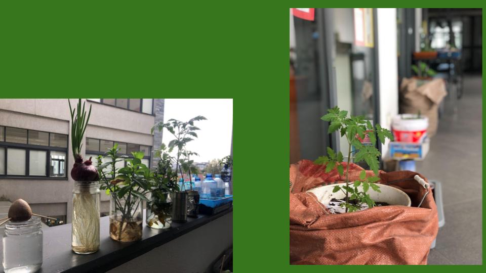 Kim Stuart tweet media