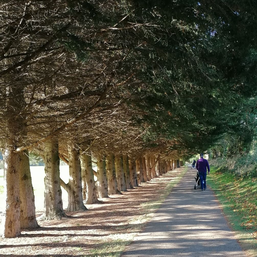 FOS_Images's tweet image. “Golf is a game whose aim is to hit a very small ball into a small hole with weapons singularly ill designed for the purpose”~Winston Churchill.
Played Swords Open GC and Grange Castle, both days thankfully without rain. Good for the soul !!! 🏌🏻😁 #golf #swords #grangecastlegolf