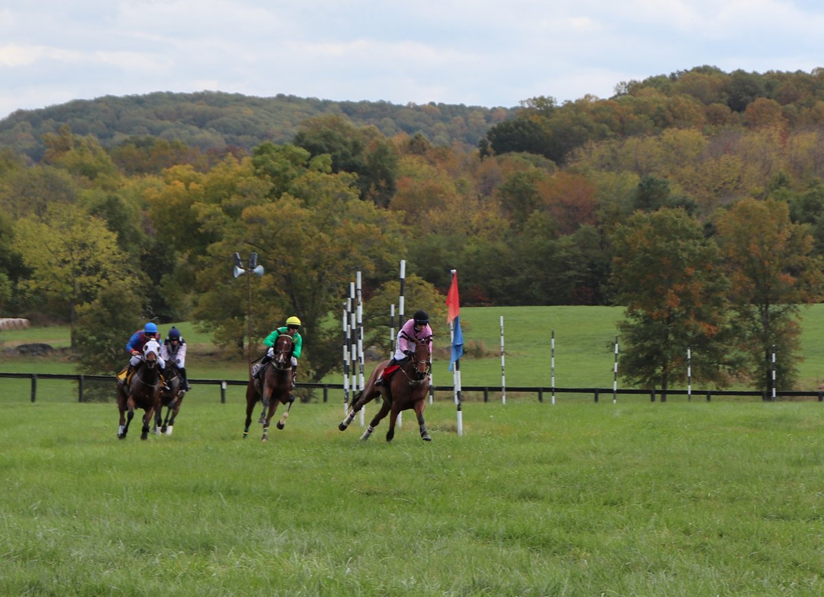 nexgrid's tweet photo. It was a great time @ the '21 @VAGoldCup horse races! #Nexgrid staff joined together to watch this time-honored sport &amp; nat'l tradition. Learn more about us &amp; our #innovative #smartgrid solutions @ https://t.co/HwGOTt99Kw. 
@JumpingwithNSA #GoldCup2021 #horseracing #vahorseraces https://t.co/DZ4L1P3K5g
