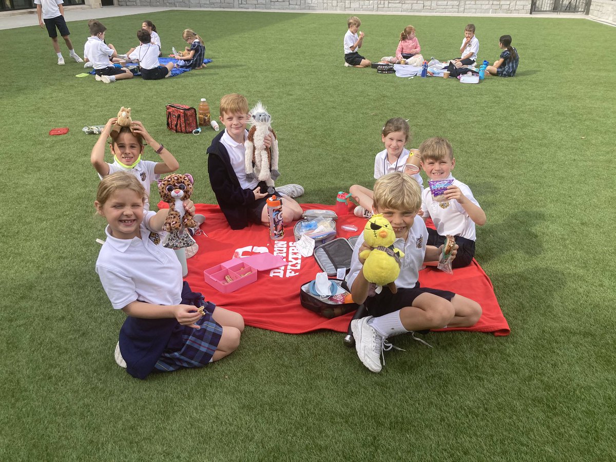 Christ the King School tweet media