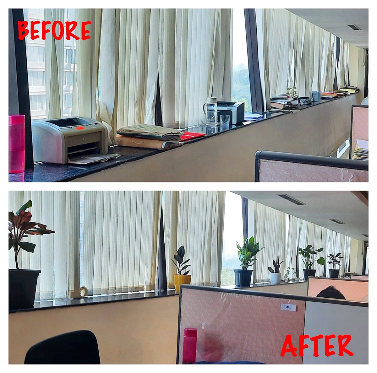 Fci_maharashtra's tweet photo. Removal of wild vegetation and improvising the aesthetic appeal of the workplace, during the Swachh Bharat Abhiyan (Urban 2.0), at RO Mumbai. @FCI_India @fooddeptgoi @DARPG_GoI @FciWest https://t.co/fbQCrkvTKQ