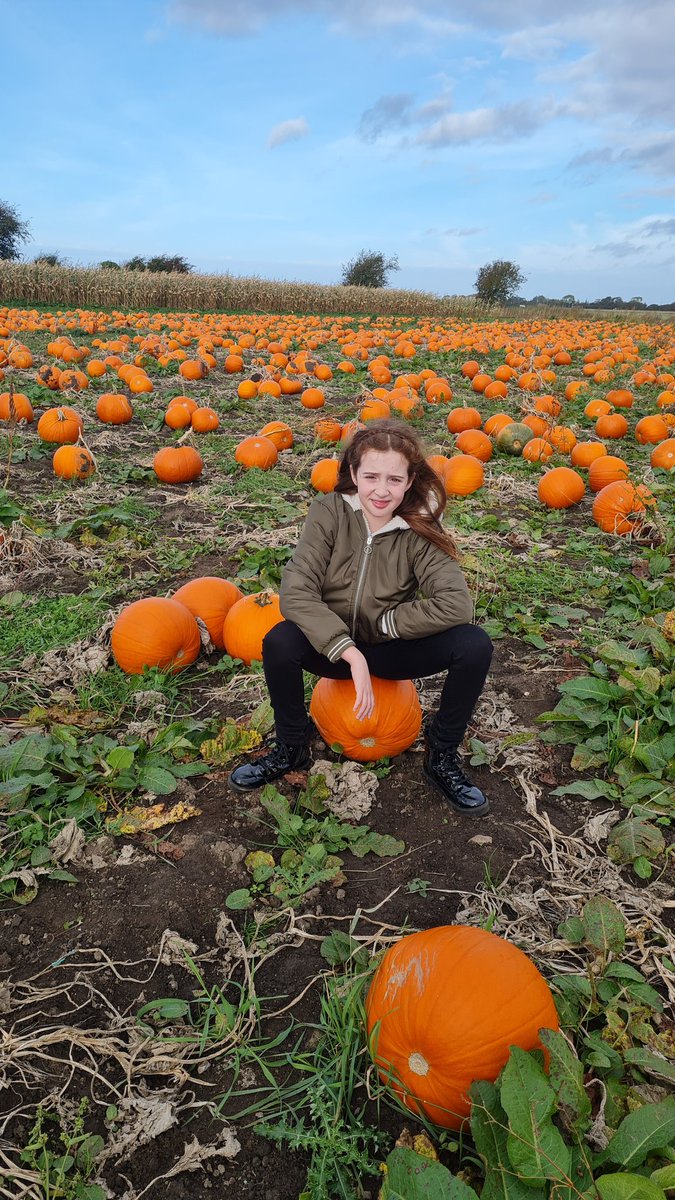 Sharon71Gifford's tweet photo. Pumpkin picking with Eva 🎃#halftermadventures @PinehurstP @year5sycamore https://t.co/1E78jHVzpt