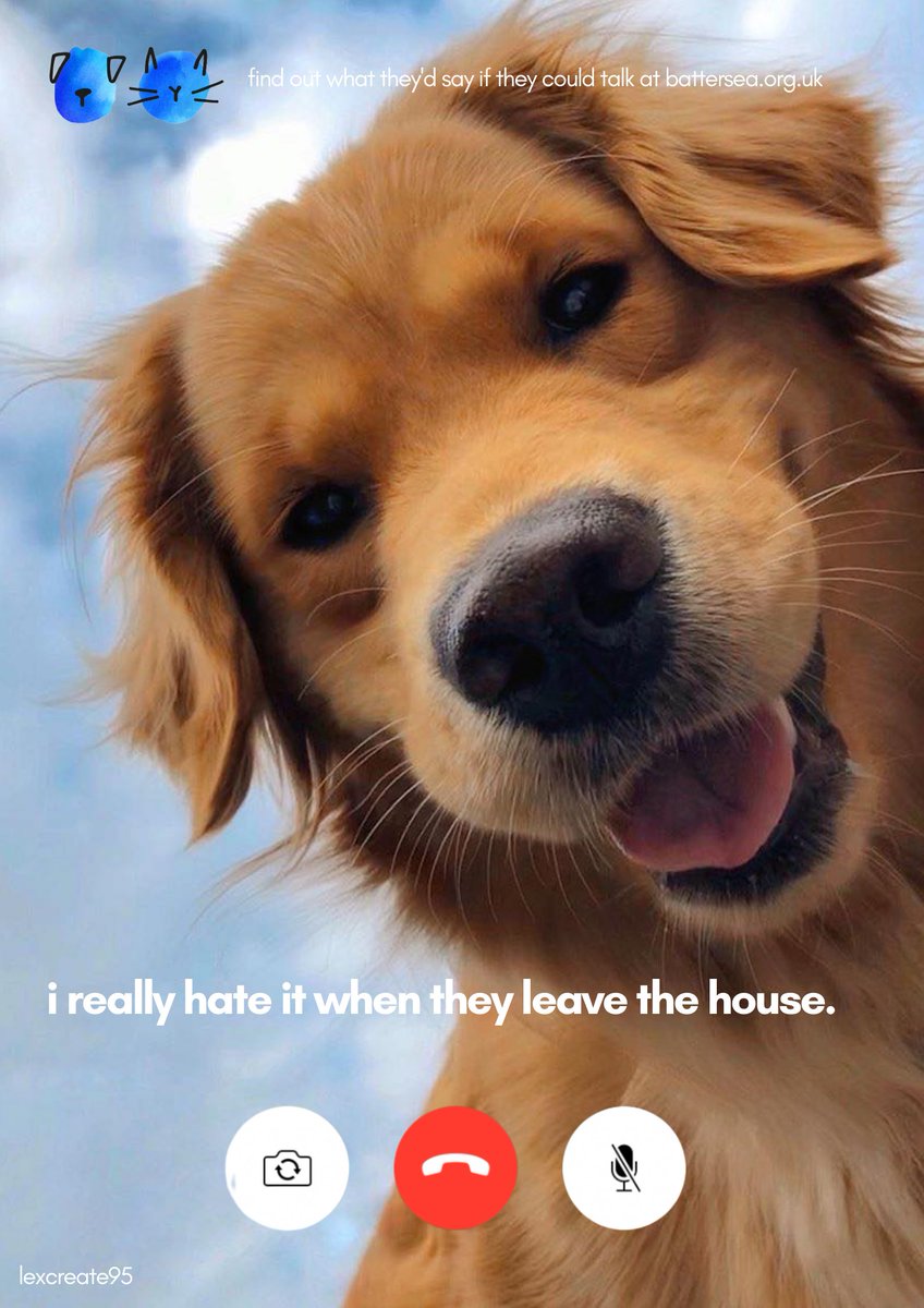 lexcreatestudio's tweet image. The things you hear on PetTime 📞 @Battersea_
 
@OneMinuteBriefs #RescueIsMyFavouriteBreed